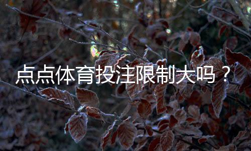 点点体育投注限制大吗？新手必看：账号、充值与投注限制全解析