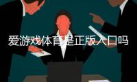 爱游戏体育是正版入口吗？官方认证、真假辨别与安全使用指南