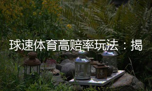 球速体育高赔率玩法:揭秘高回报投注技巧与实战策略