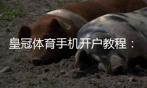皇冠体育手机开户教程:新手注册步骤、实名认证与充值注意事项全面解析
