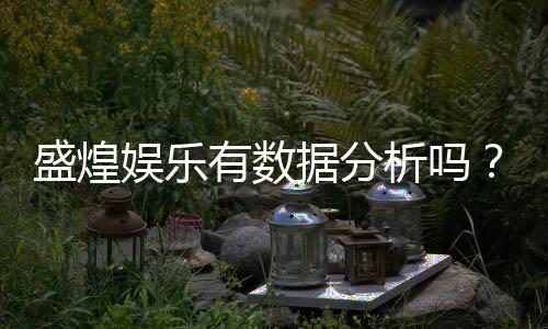 盛煌娱乐有数据分析吗？深度解析其数据统计与玩家胜率