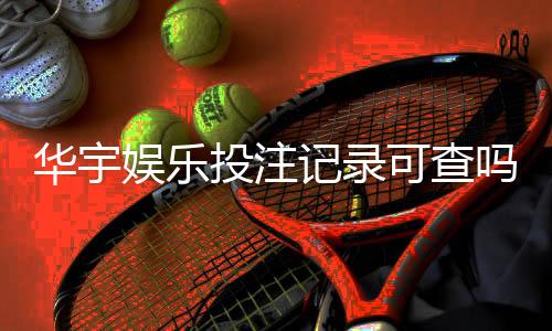 华宇娱乐投注记录可查吗?一文详解查询方法与注意事项