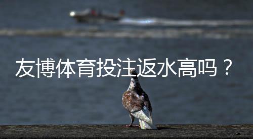 友博体育投注返水高吗?真实返水比例、计算方法与省钱提现全攻略