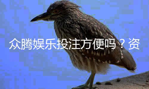 众腾娱乐投注方便吗?资深玩家亲测体验分享