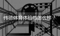 伟德体育体验感怎么样？真实用户评测：平台界面、赔率、出款与客服全面解析
