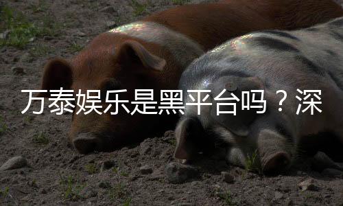 万泰娱乐是黑平台吗？深度解析其信誉与玩家真实体验