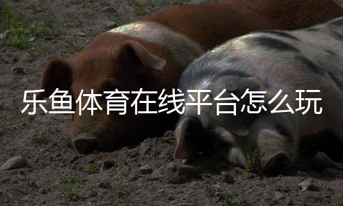 乐鱼体育在线平台怎么玩？新手注册、充值、玩法与安全使用全攻略