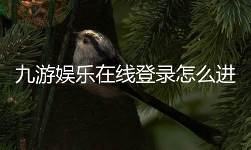 九游娱乐在线登录怎么进？官方入口、账号安全与常见问题一站式攻略