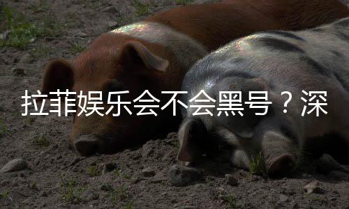 拉菲娱乐会不会黑号？深度解析平台安全性与防黑技巧