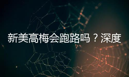 新美高梅会跑路吗？深度解析平台信誉与资金安全保障