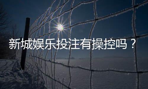 新城娱乐投注有操控吗？深度解析平台公平性与防作弊机制