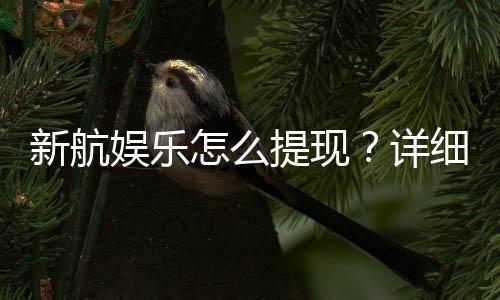 新航娱乐怎么提现？详细步骤与到账时间解析