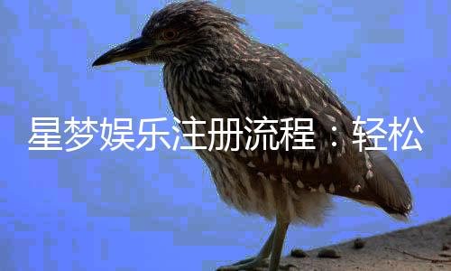 星梦娱乐注册流程:轻松三步完成账号开通与首存优惠