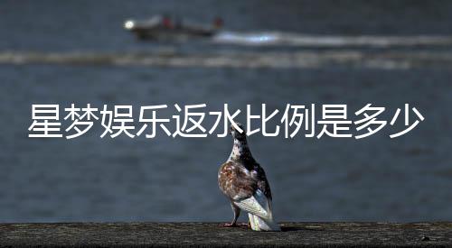 星梦娱乐返水比例是多少？最新返水政策及高返利技巧解析