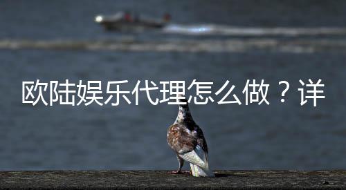 欧陆娱乐代理怎么做？详细申请流程与盈利技巧分享