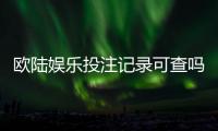 欧陆娱乐投注记录可查吗？一文详解查询方法与平台安全性