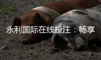 永利国际在线投注：畅享线上娱乐的全新体验