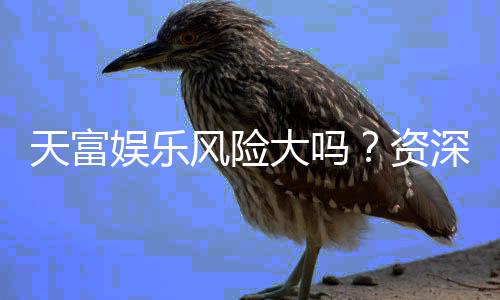 天富娱乐风险大吗？资深玩家解析平台安全性与投注策略