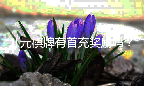 开元棋牌有首充奖励吗?揭秘新用户专属福利与充值攻略