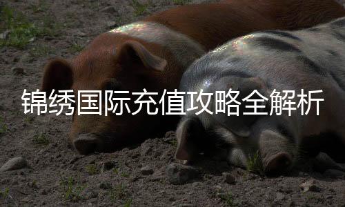 锦绣国际充值攻略全解析