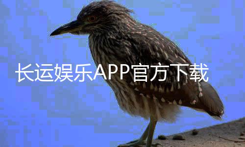 长运娱乐APP官方下载通道：安全便捷的一站式娱乐平台入口