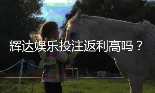 辉达娱乐投注返利高吗？资深玩家揭秘真实返利比例与技巧