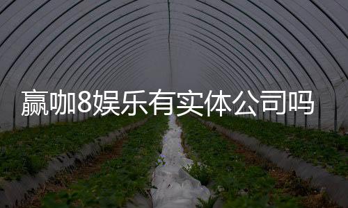 赢咖8娱乐有实体公司吗?深入解析其线下运营背景