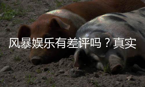风暴娱乐有差评吗?真实玩家体验与平台口碑深度解析