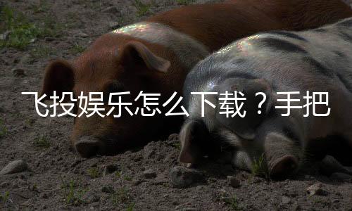 飞投娱乐怎么下载？手把手教你快速安装畅玩攻略