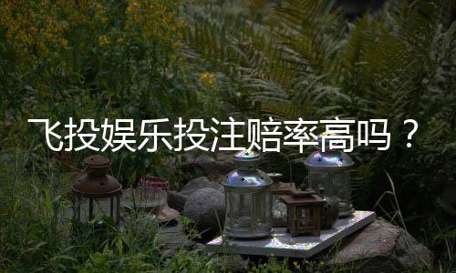 飞投娱乐投注赔率高吗?深度解析高赔率玩法与实战技巧