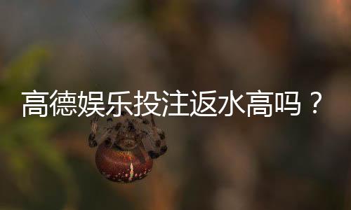 高德娱乐投注返水高吗?揭秘返水比例与实战技巧