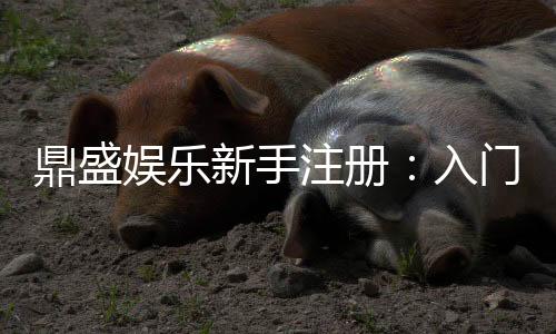 鼎盛娱乐新手注册：入门必知技巧