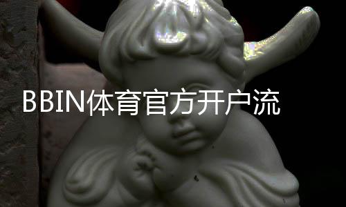 BBIN体育官方开户流程详解：新手注册步骤、身份验证与安全注意事项