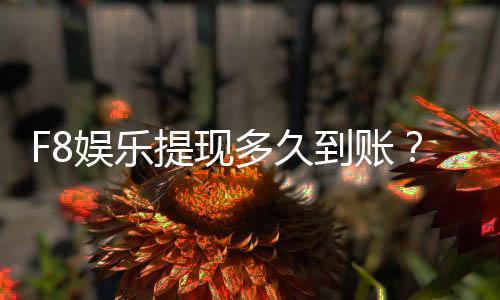 F8娱乐提现多久到账?到账时间及流程详解