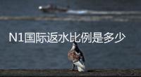 N1国际返水比例是多少？新手必看返水计算与领取攻略