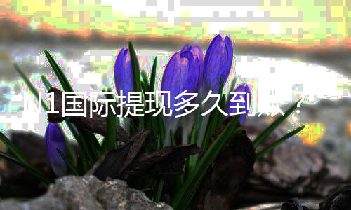 N1国际提现多久到账？最快到账时间、延迟原因与解决办法