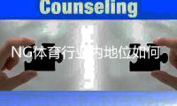 NG体育行业内地位如何？市场表现、竞争优势与发展前景深度解析