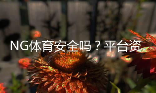NG体育安全吗？平台资质、风控与提现风险全面解析
