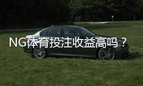 NG体育投注收益高吗?真实收益评估与新手避坑指南
