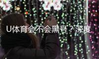 U体育会不会黑号？深度解析平台安全性与防黑技巧