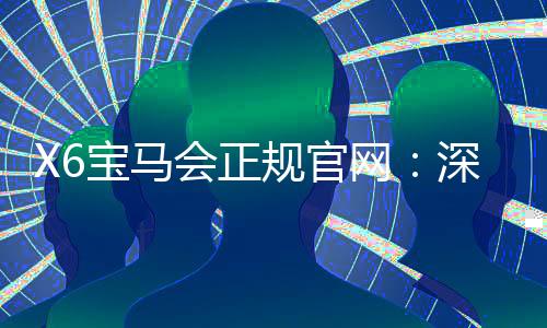 X6宝马会正规官网:深度解析平台优势与安全投注指南