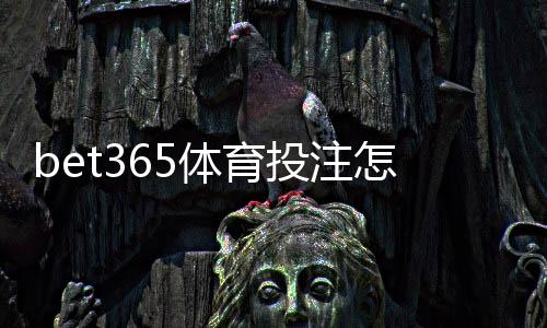 bet365体育投注怎么玩？新手入门、注册充值与常见玩法全面教学