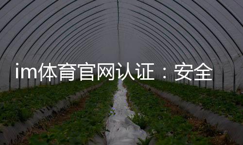 im体育官网认证:安全可靠的平台选择与玩法指南