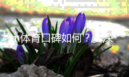 im体育口碑如何？资深玩家揭秘真实体验与平台优劣